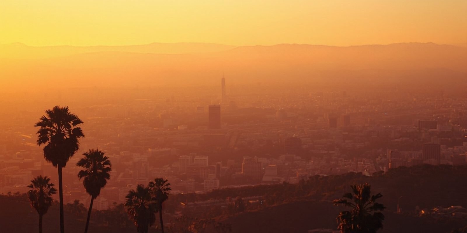 Hillside view over Los Angeles neighborhoods with houses and palm trees at golden hour